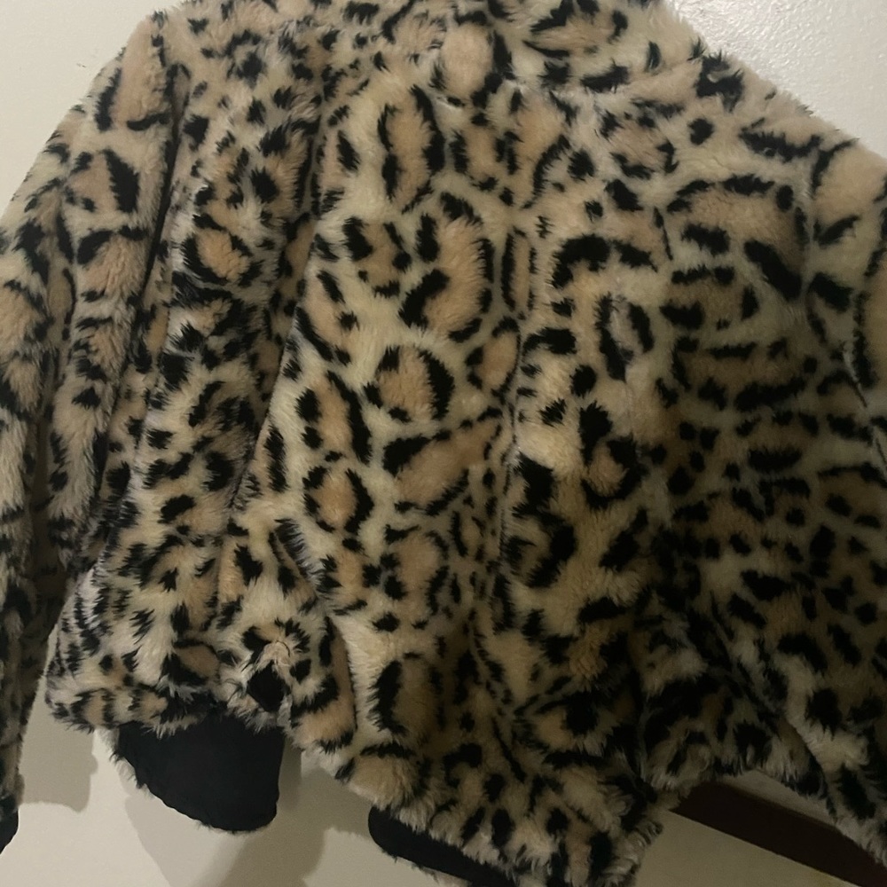 Homemade reverse cat coat - Picture 3 of 3